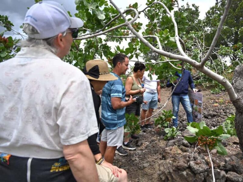 Bronte: Pistacchieti PDO tour with local tasting - Final Thoughts