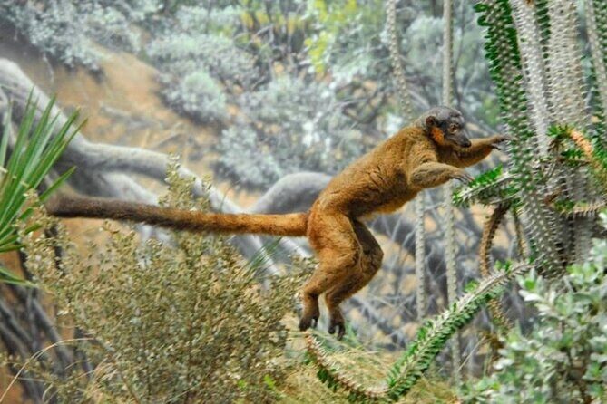 Bronx Zoo Admission Ticket - Key Points