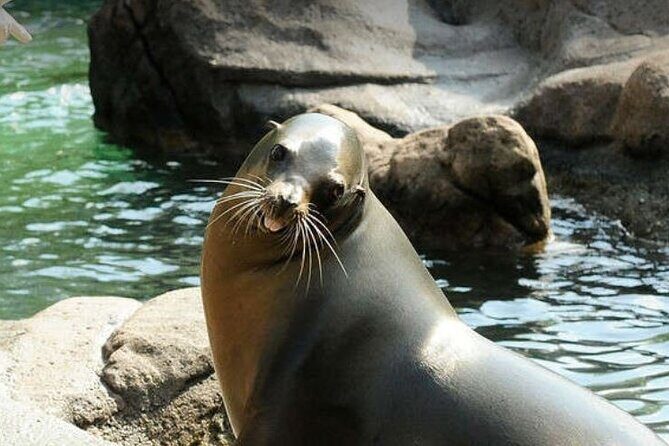 Bronx Zoo Admission Ticket - The Realities of Visiting