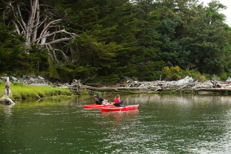 Brookings: Chetco River Kayak Tour - Who Should Consider This Tour?