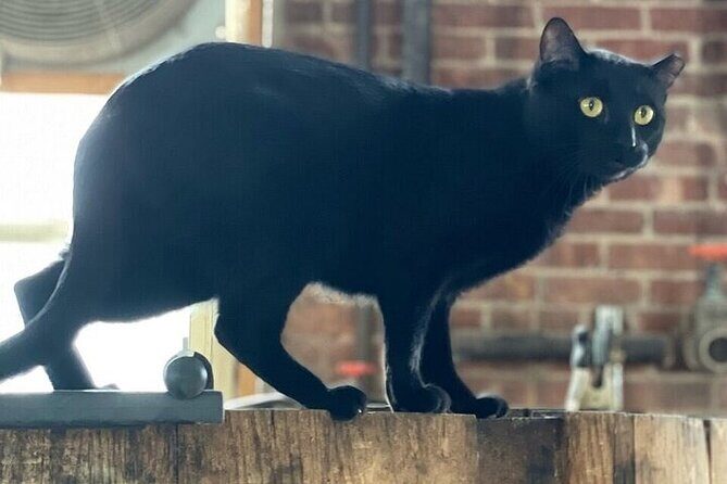 Brooklyn Distillery Tour - Who Should Consider This Tour?