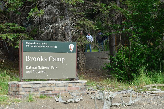 Brooks Falls Katmai Bear Viewing in a Float Plane - What to Expect from the Tour
