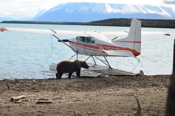 Brooks Falls Katmai Bear Viewing in a Float Plane - Final Thoughts: Is This Tour Right for You?