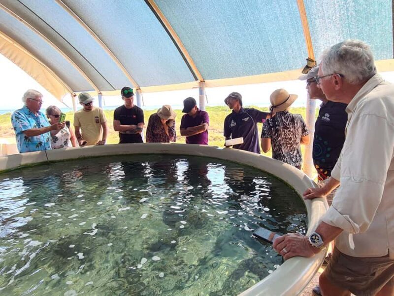 Broome: Dampier Peninsula Tour (Optional Scenic Flight) - Key Points