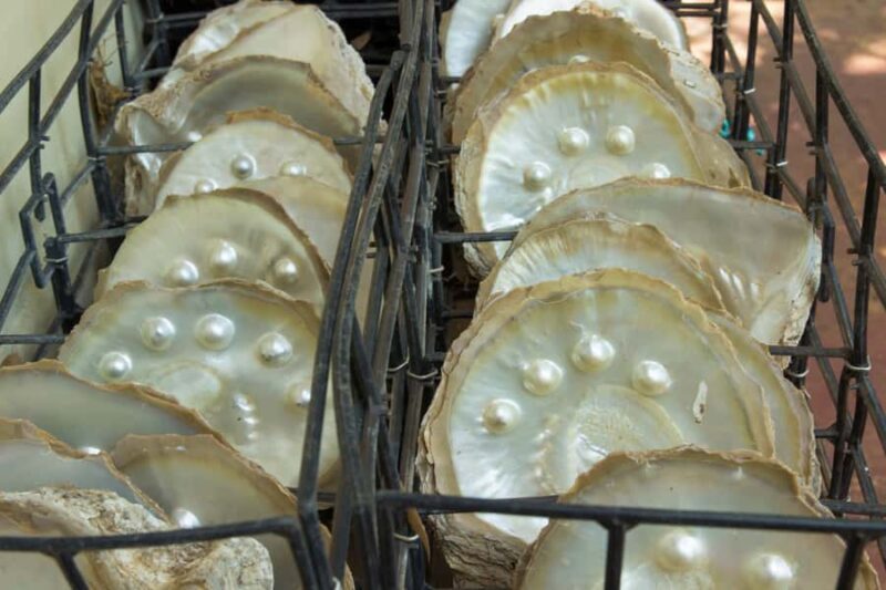 Broome: Dampier Peninsula Tour (Optional Scenic Flight) - What Reviews Tell Us