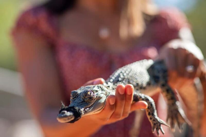 Broome: Matso's Brewery, Museum & Crocodile Park Combo Tour - A Welcome Introduction to Broome’s Top Sights