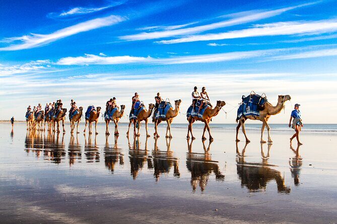 Broome Pre-sunset Camel Tour 30 minutes - What to Expect from the Broome Pre-sunset Camel Tour