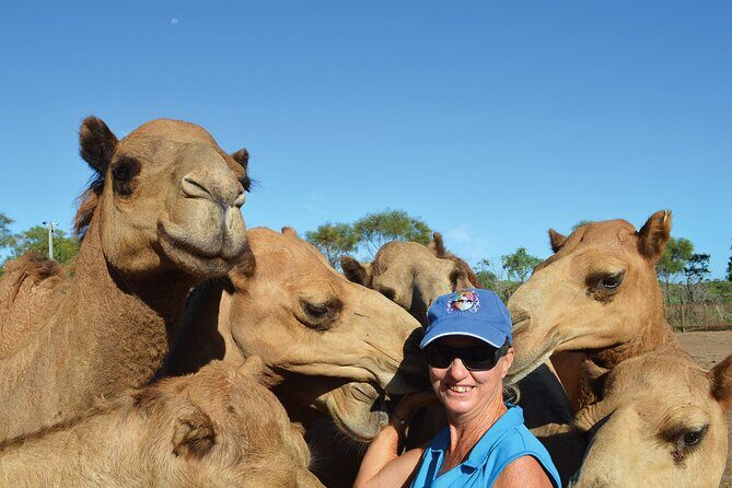 Broome Pre-sunset Camel Tour 30 minutes - Price and Value: Is It Worth It?