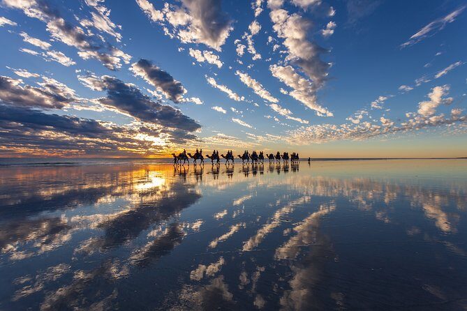 Broome Pre-sunset Camel Tour 30 minutes - Final Thoughts