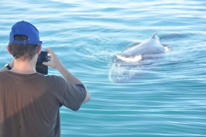 Broome: Whale Watching & Sunset Cruise - An Honest Look at the Broome Whale Watching & Sunset Cruise