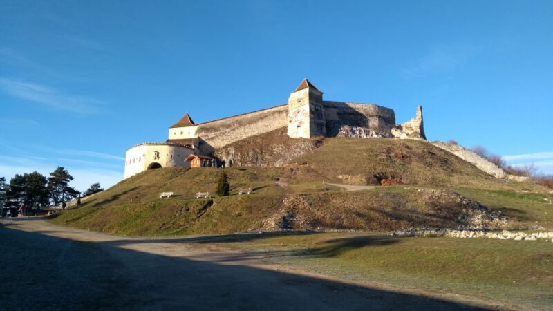 Brown Bear Sanctuary, Bran Castle & Rasnov Fortress Day Tour - A Deep Dive into the Tour Experience
