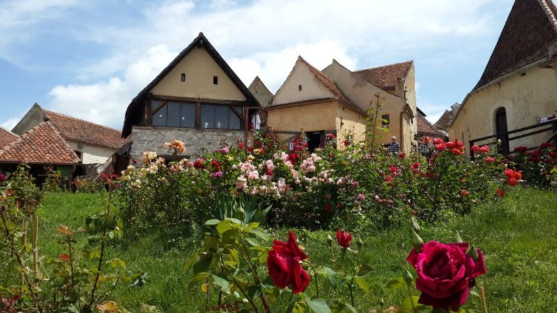 Brown Bear Sanctuary, Bran Castle & Rasnov Fortress Day Tour - Final Thoughts: Is It Worth It?