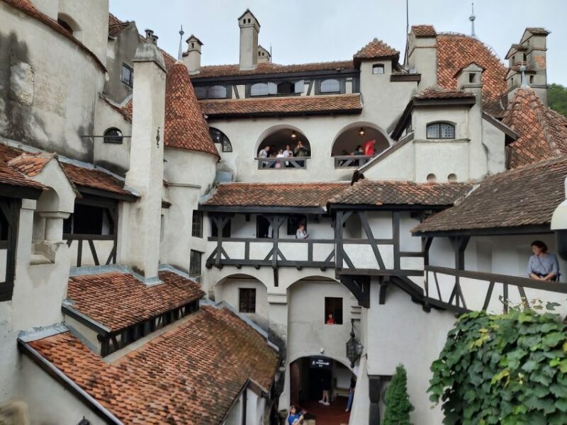 Brown Bear Sanctuary, Bran Castle & Rasnov Fortress Day Tour - FAQ