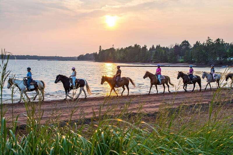 Brudenell: Family-Friendly Horse Ride goes on the Beach - What to Expect on This Horseback Ride