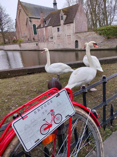 Bruges, Bike Tour with Chocolate Tasting & Hot Wine/Chocolat - Key Points