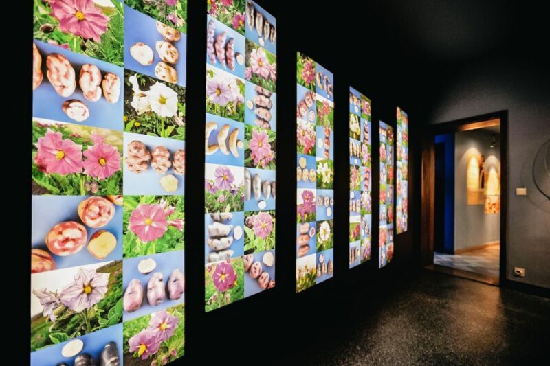 Bruges: Frietmuseum Entry Ticket - Key Points