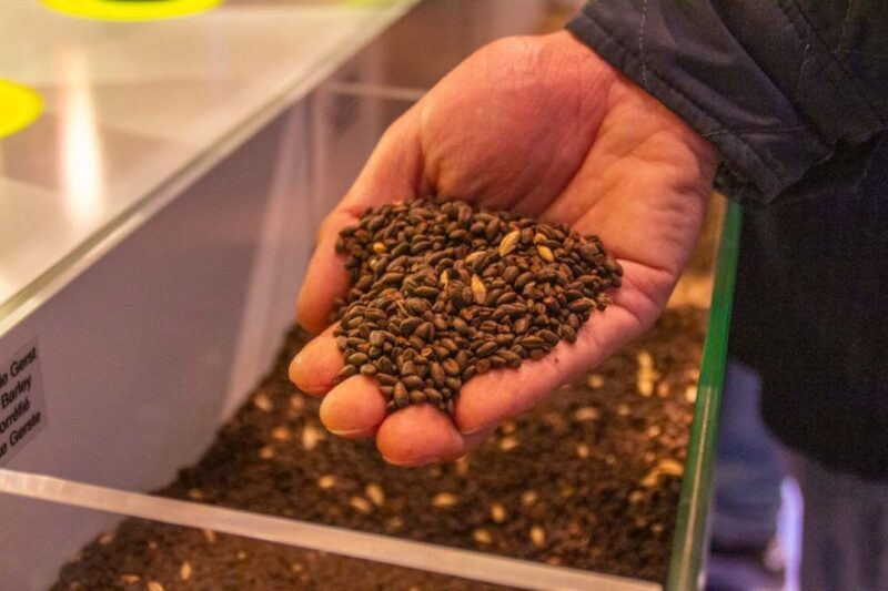 Bruges: History, Chocolate and Beer Walking Tour - What to Expect from the Tour