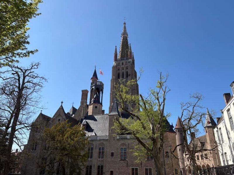 Bruges: private tour - highlights & hidden gems - Key Points