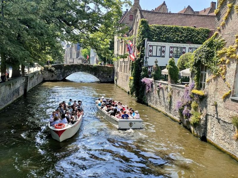 Bruges: Small Group Boat Cruise and Guided Walking Tour - The 40-minute canal cruise: swans, bridges, and ivy-covered facades