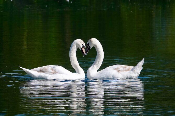 Bruges Walking Tour with Audioguide on Your Smartphone - A Friendly Look at the Bruges Walking Tour with Smartphone Audioguide