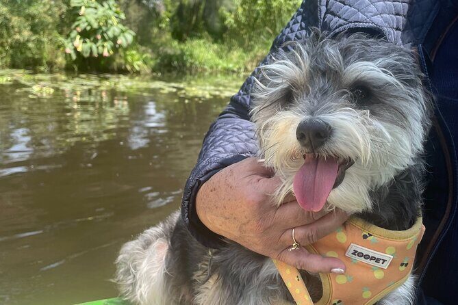 Brunch at Xochimilco, México City. - FAQs