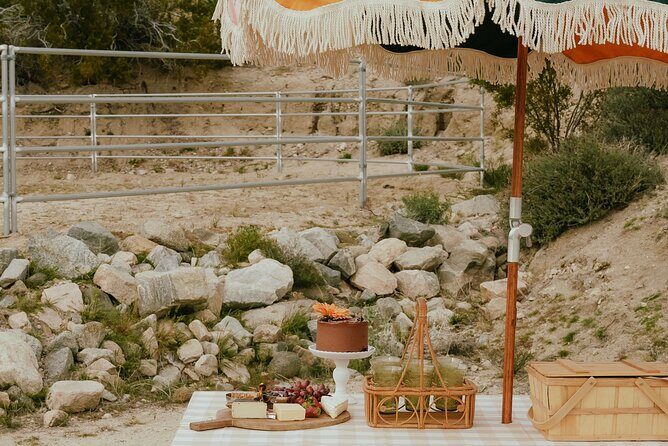 Brunch with Mini Rescue Burros in Southern California - FAQs