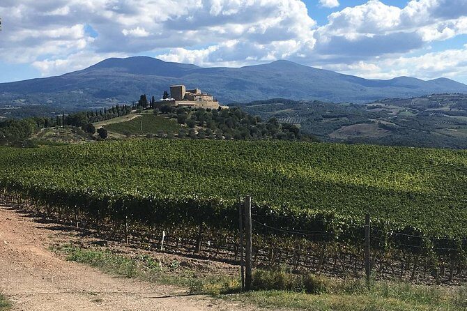 Brunello E-Bike Tour - What to Expect on the Brunello E-Bike Tour