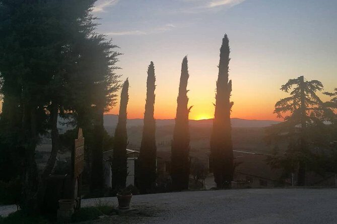 Brunello Wine Tour and Val D'Orcia Landscape - Price and Value Considerations