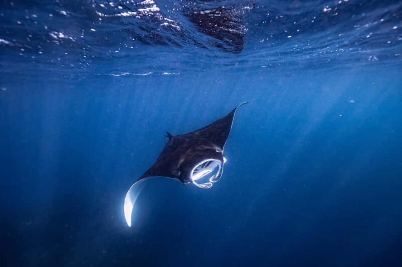 Brunswick Heads: Snorkelling in Byron Bay - The Experience in Detail