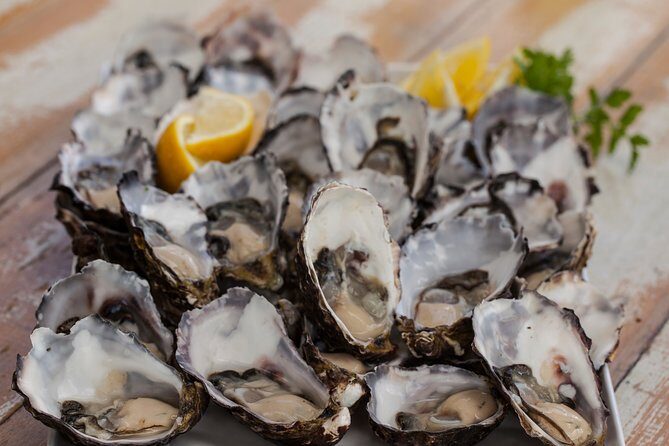 Bruny Island Traveller - Gourmet Tasting and Sightseeing Day Trip from Hobart - FAQs