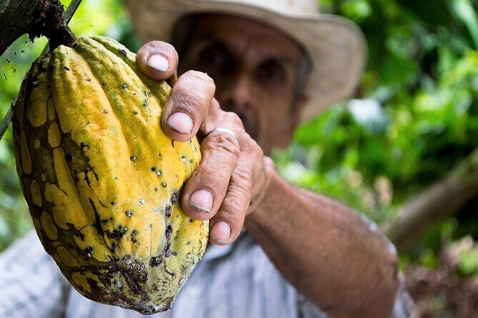 Brussels Chocolate Walking Tour and Workshop - Who Would Love This Tour?