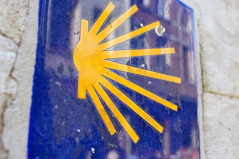 Brussels: Chocolate Workshop and Guided Walking Tour - The Value and Practicalities