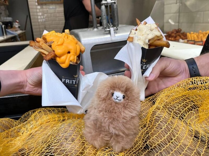 Brussels Day Trip from Paris or Amsterdam by Mini-Van - Why Choose This Brussels Day Trip?