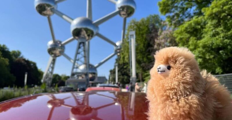 Brussels Day Trip from Paris or Amsterdam by Mini-Van - What People Love—and What They Don’t