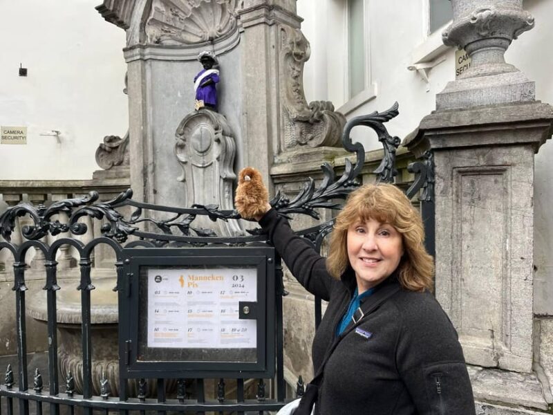 Brussels Day Trip from Paris or Amsterdam by Mini-Van - Who Should Consider This Tour?