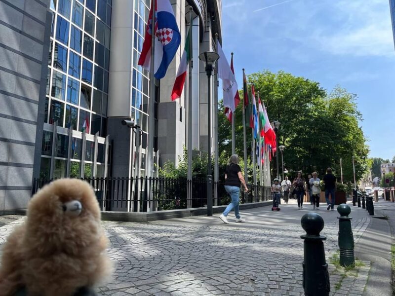 Brussels Day Trip from Paris or Amsterdam by Mini-Van - FAQ