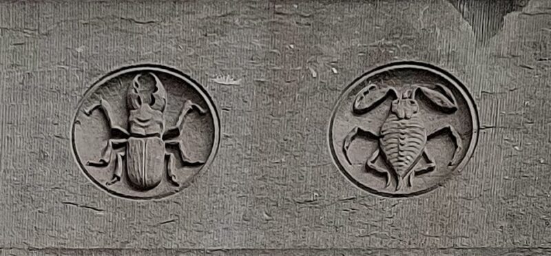 Brussels: Fall and Rise of Art-Nouveau Guided Tour - FAQ