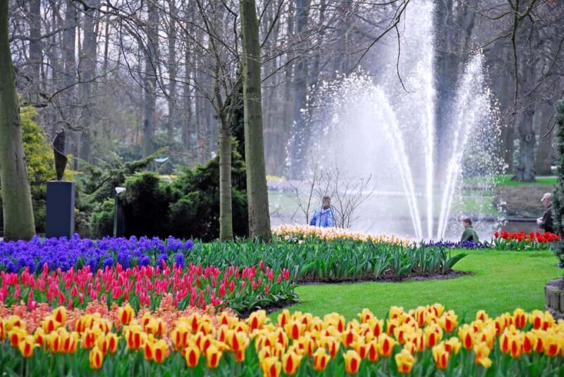 Brussels: Full Day Holland Keukenhof & Windmills Guided Tour - What Real Travelers Say