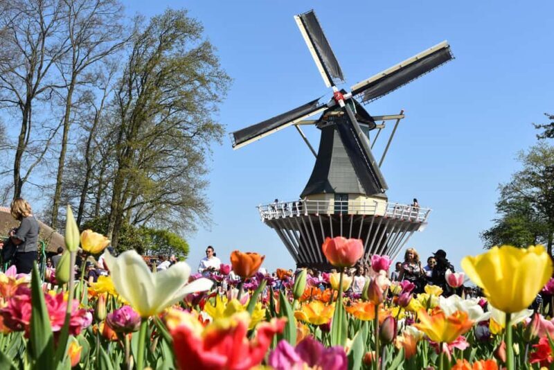 Brussels: Full Day Holland Keukenhof & Windmills Guided Tour - Final Thoughts: Who Is This Tour Best For?