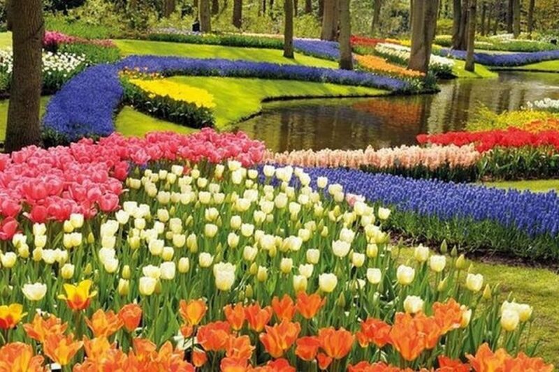 Brussels: Keukenhof, Tulips, and Delft Day Trip - FAQ about the Brussels: Keukenhof, Tulips, and Delft Day Trip
