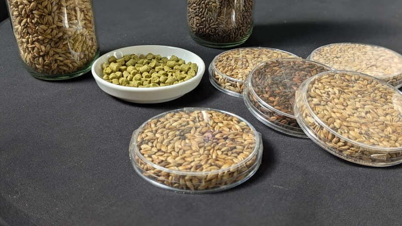 Brussels: micro brewery & distillery tour + beer tasting - Key Points