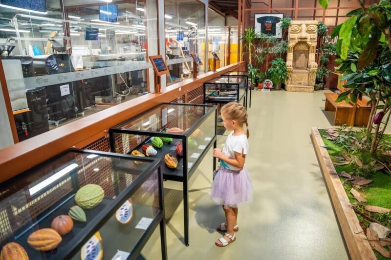 Brussels: Private Family Tour. Highlights, Tasting & Museum - Key Points