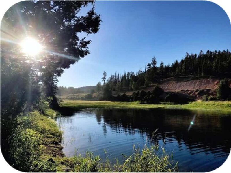 Bryce Canyon: 2-Hour, 4-Seat or 5-Seat ATV Rental - Key Points