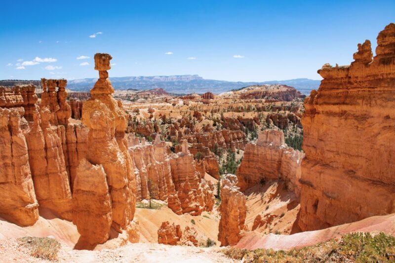 Bryce Canyon City Guided ATV/RZR Tour - Practical Details and Tips