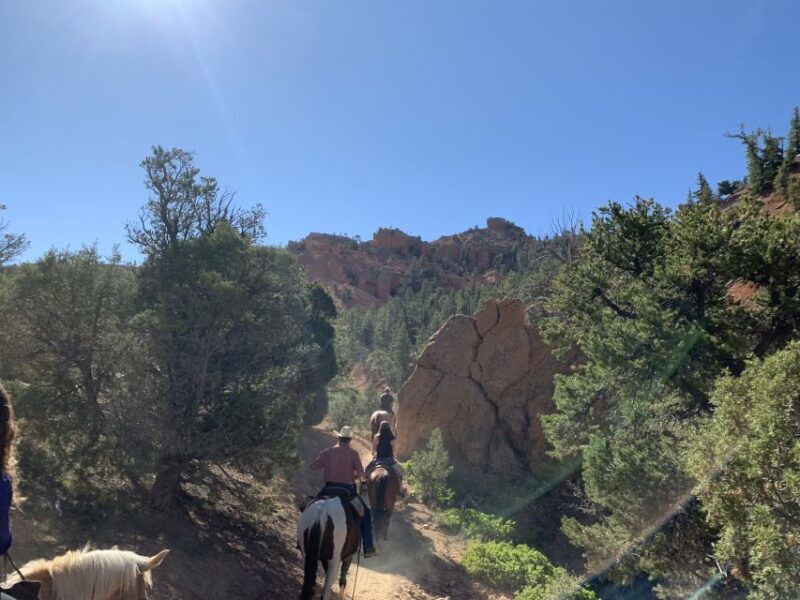 Bryce Canyon City: Horseback Riding Tour in Red Canyon - What to Expect from the Bryce Canyon Horseback Ride