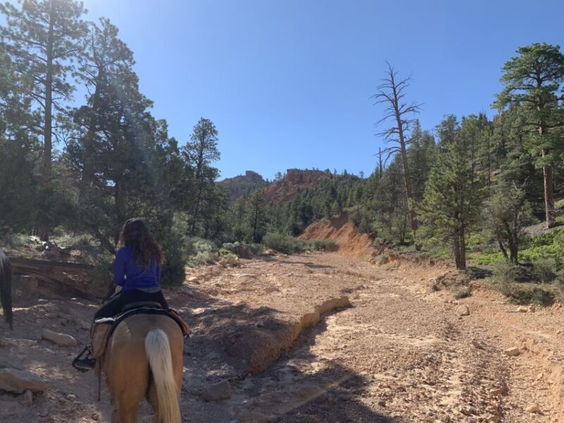 Bryce Canyon City: Horseback Riding Tour in Red Canyon - FAQ