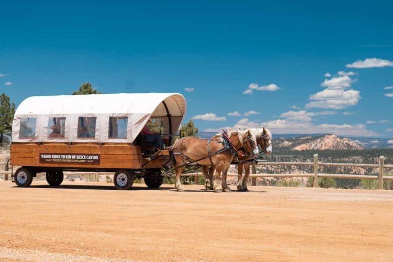 Bryce Canyon City: Wagon Ride to the Rim of Bryce Canyon - Who Is This Tour Best For?