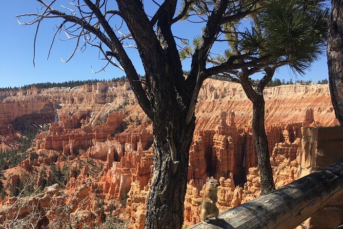 Bryce Canyon E-bike Tour - Final Thoughts