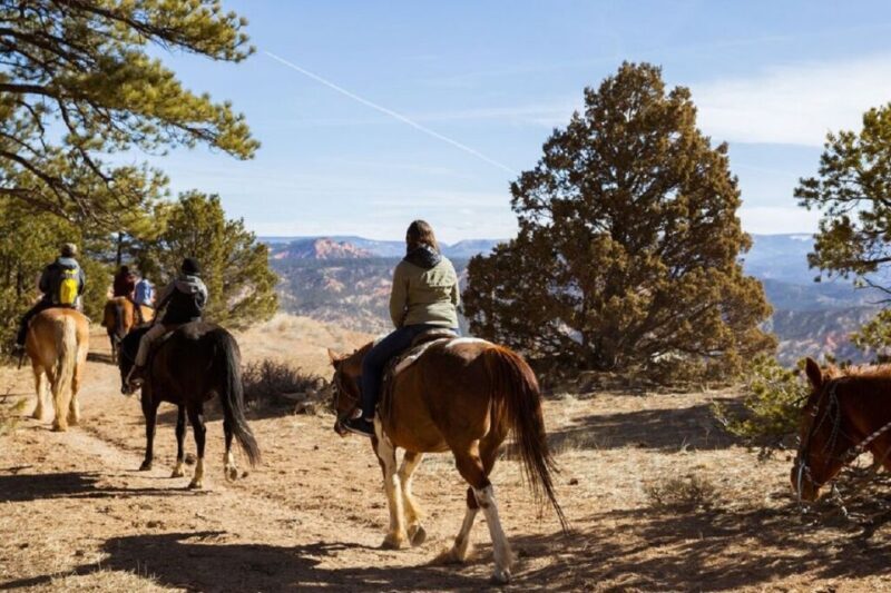 Bryce Canyon: Horseback Ride in the Dixie National Forest - An Overview of the Horseback Ride Experience