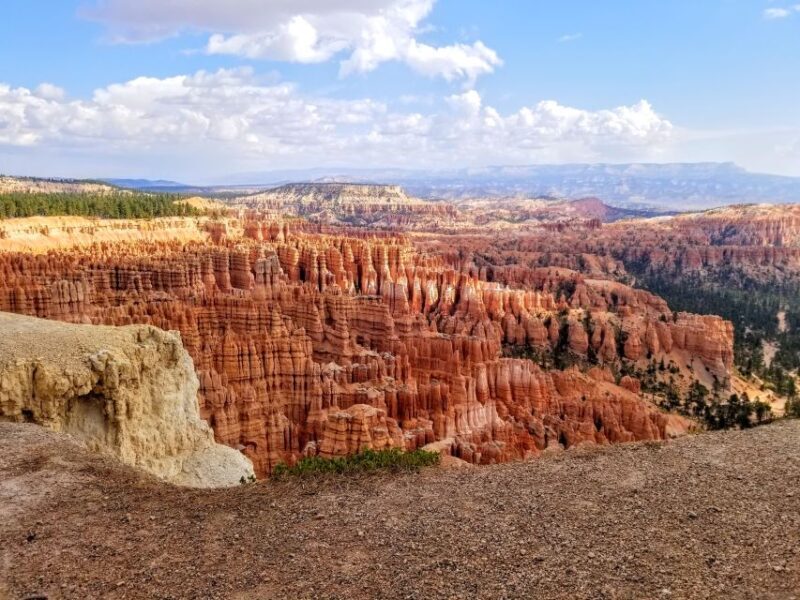 Bryce Canyon National Park Hiking Experience - Authentic Feedback from Past Participants
